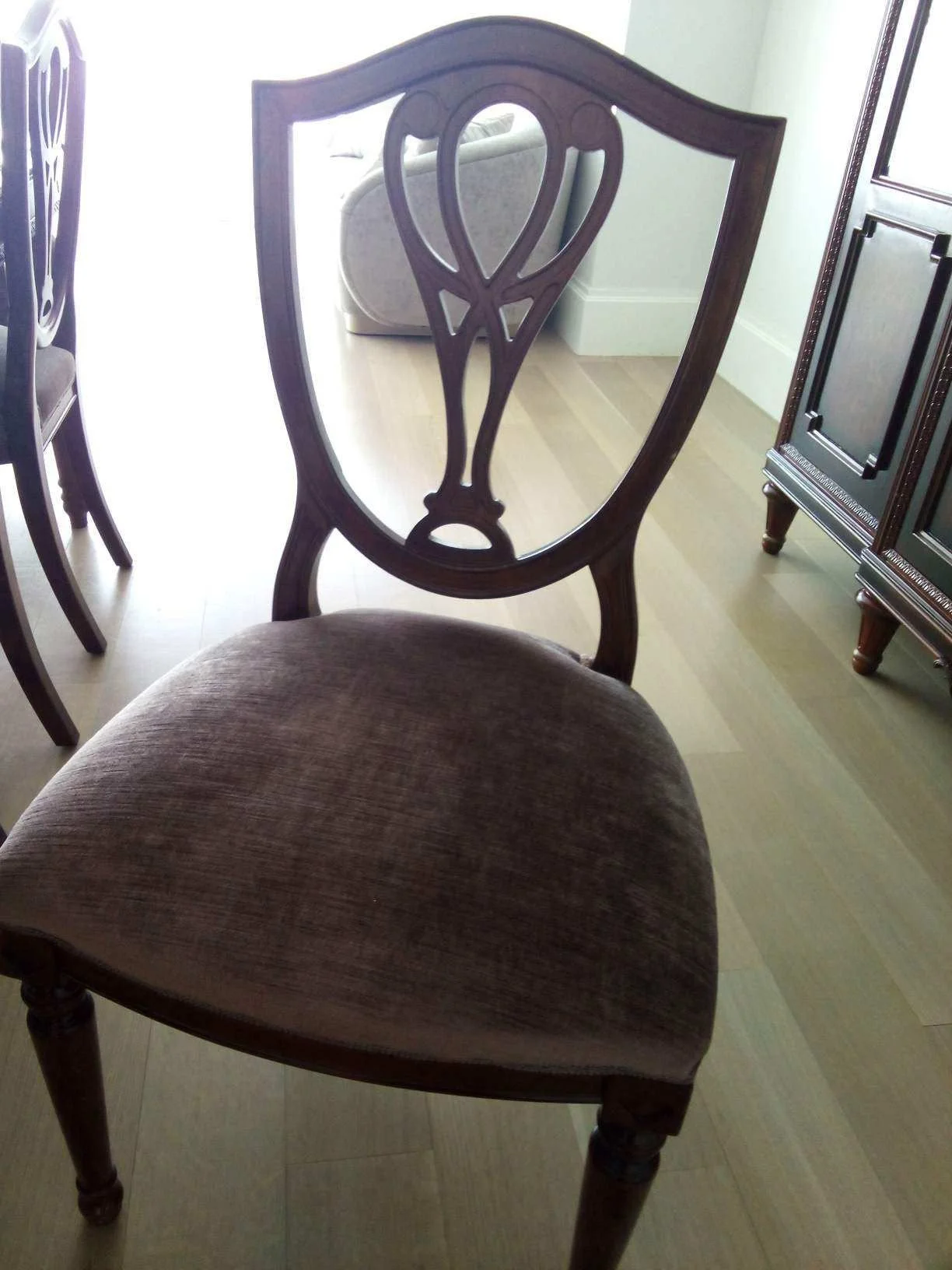 WhatsApp Image 2026-03-11 at 10.20.00 AM.jpeg