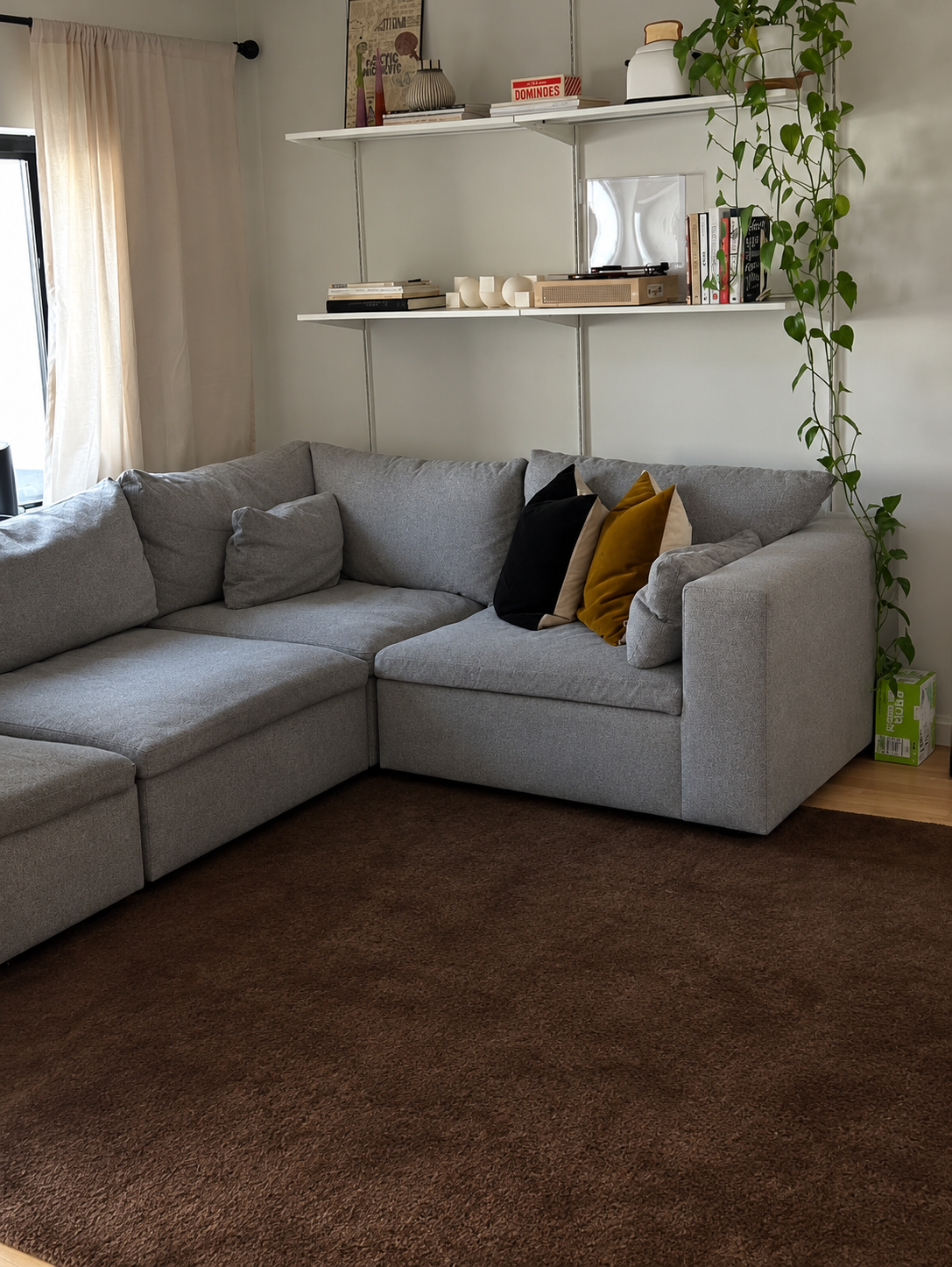 Minimalist Sectional and Trailing Plant.png