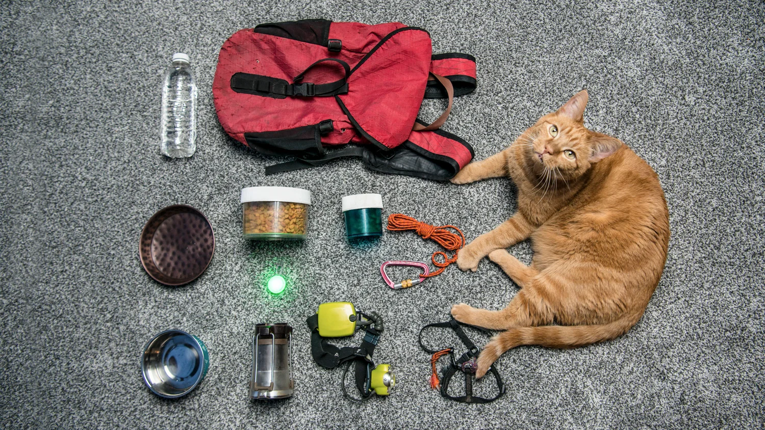 kenny-floor-horizontal-gear.jpg