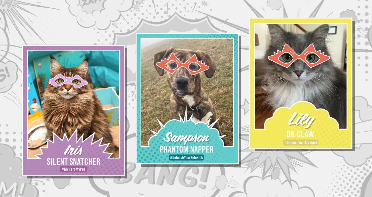 pet-protect-trading-cards-portfolio-03.jpg