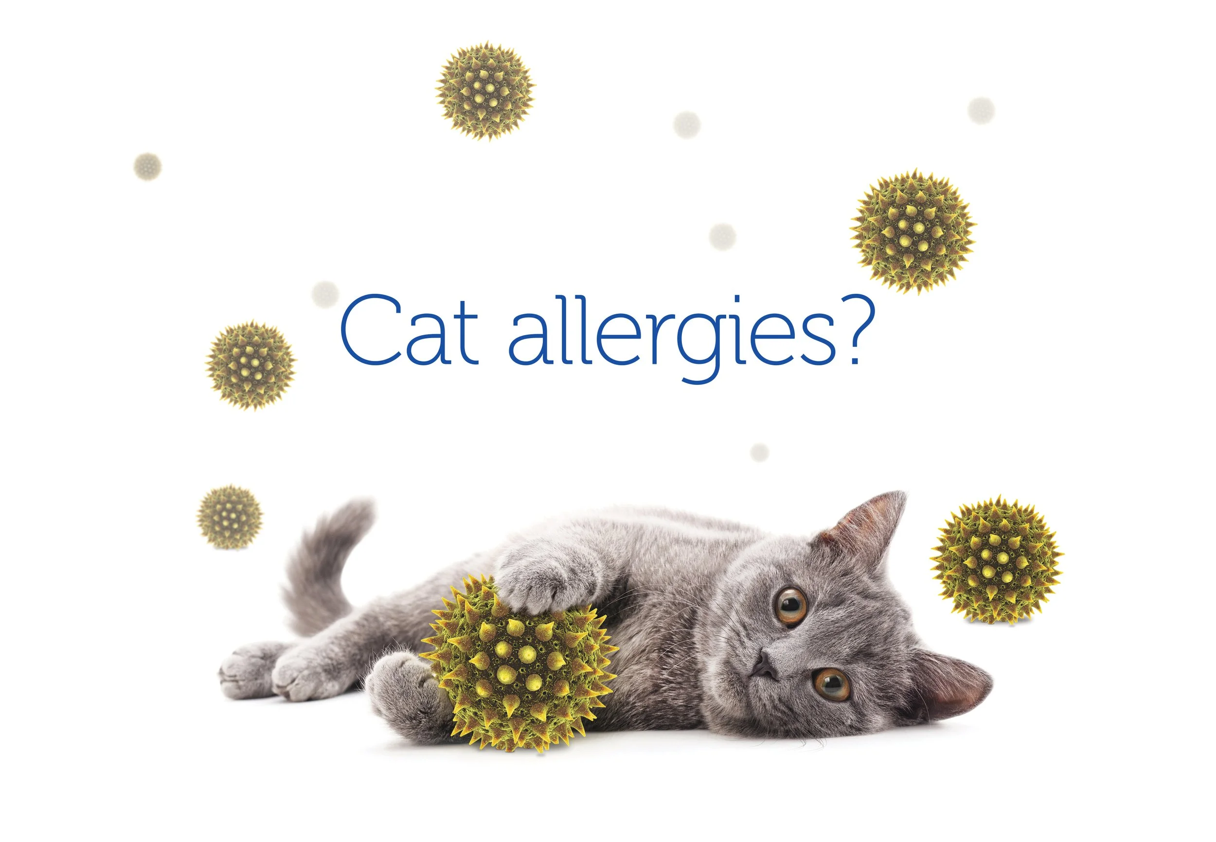Regeneron Cat Allergy Study_Primary Campaign Visual_Assent copy.jpg