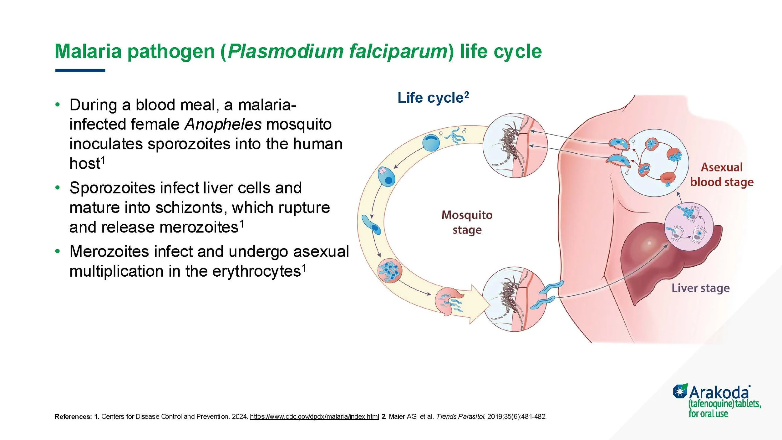Rich Miller Powerpoint Samples_June25_Page_25.jpg