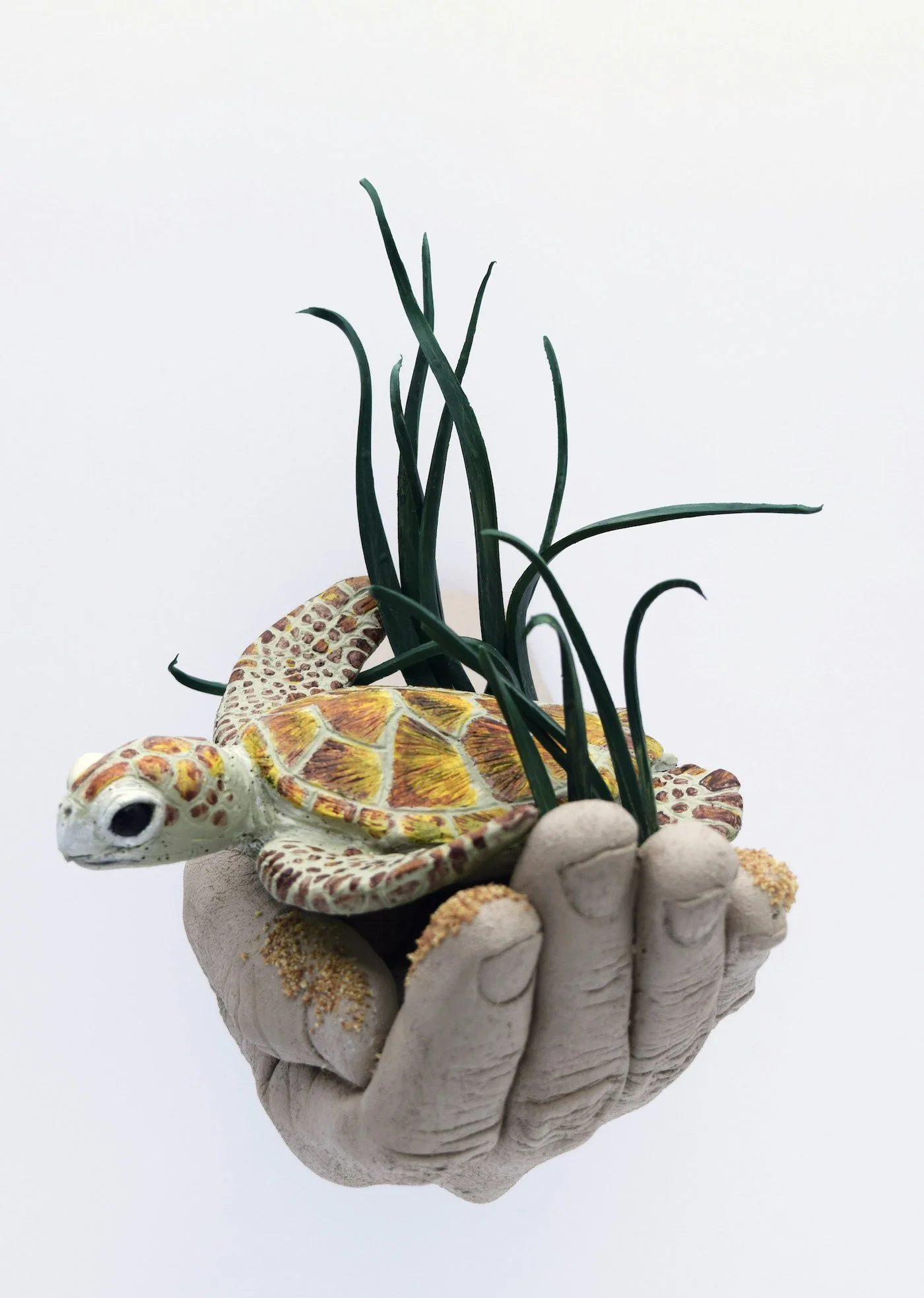 DSC_2469.web. copy.jpeg