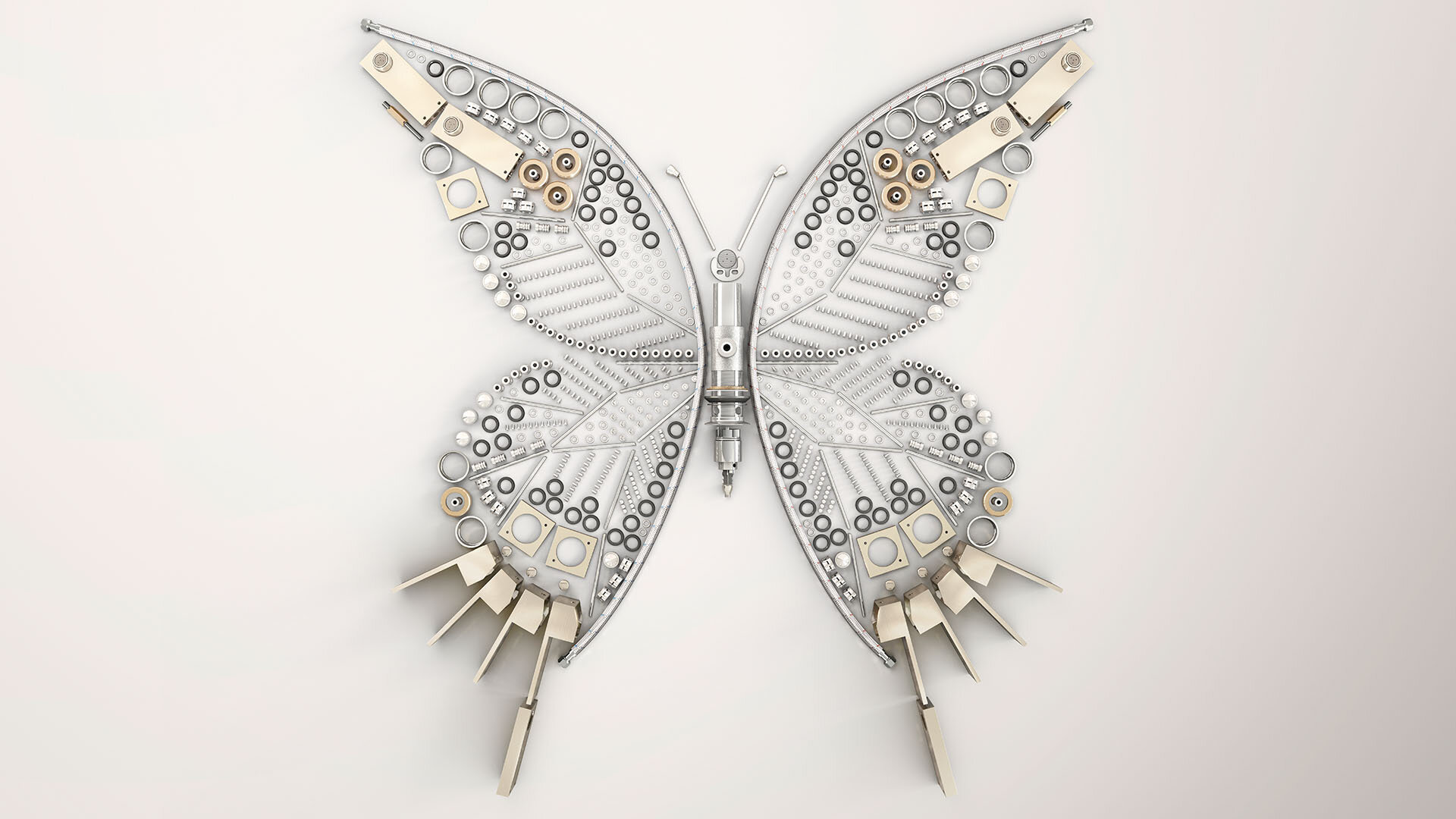 Symmons-butterfly.jpg