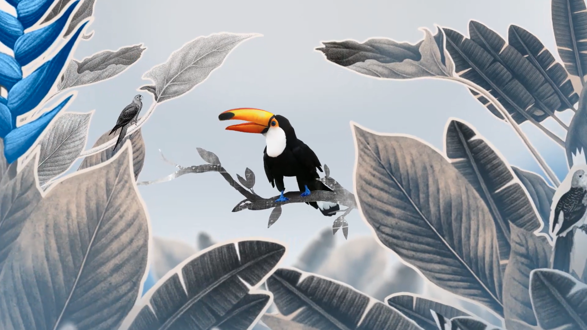 Screenshot 2021-09-21 at 16.38.45.png