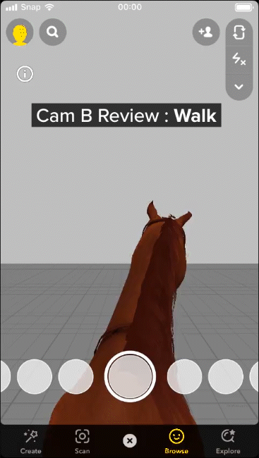 Review_camB_walk.gif