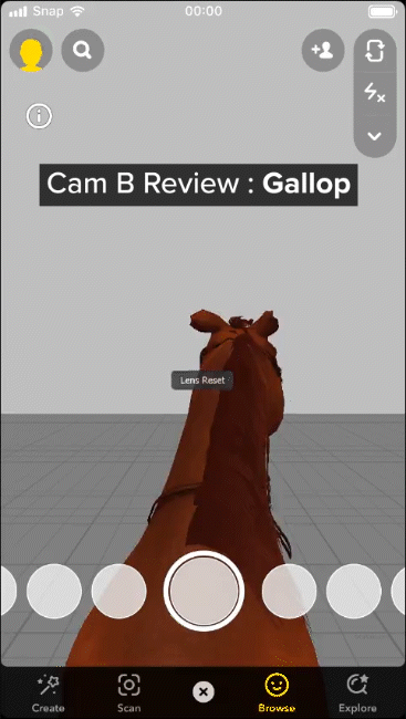 Review_camB_gallop.gif