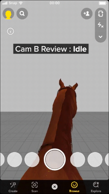 Review_camB_idle.gif