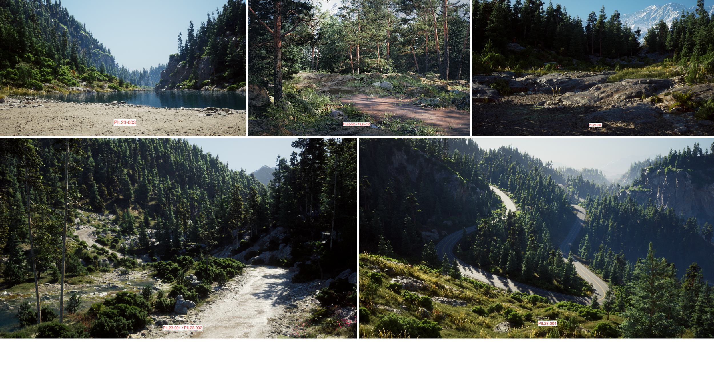 Environment-forests.png
