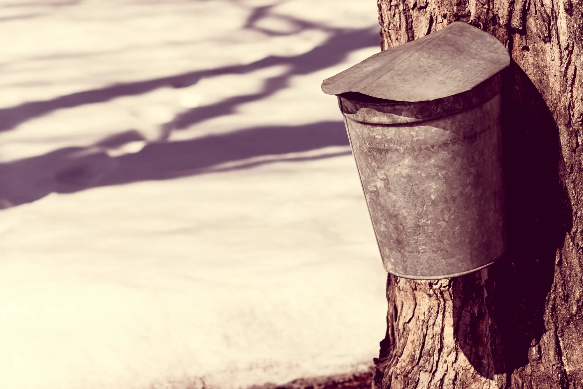 AdobeStock_89088915.jpeg