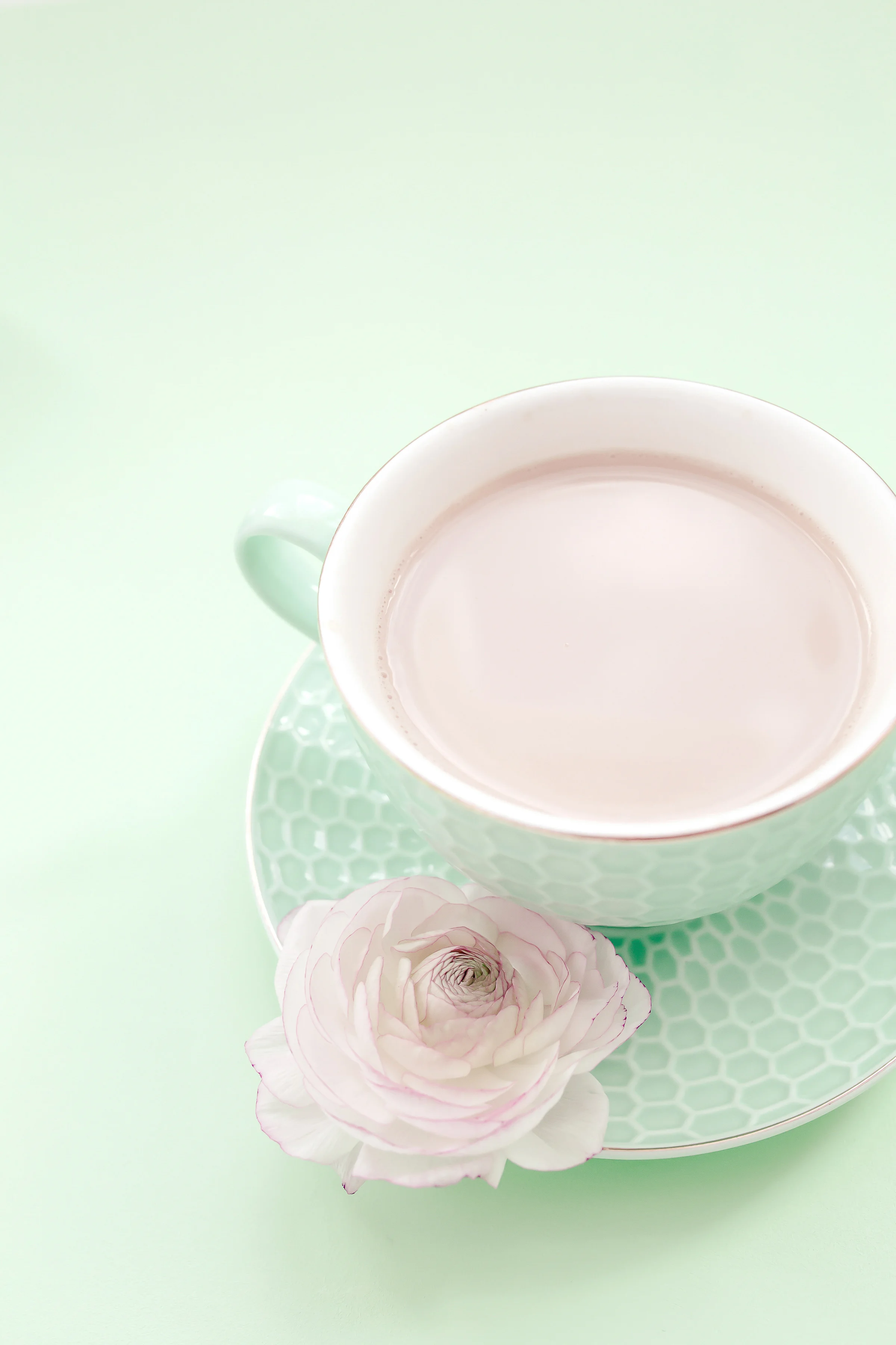 haute-stock-photography-pink-mint-backgrounds-final-12.jpg