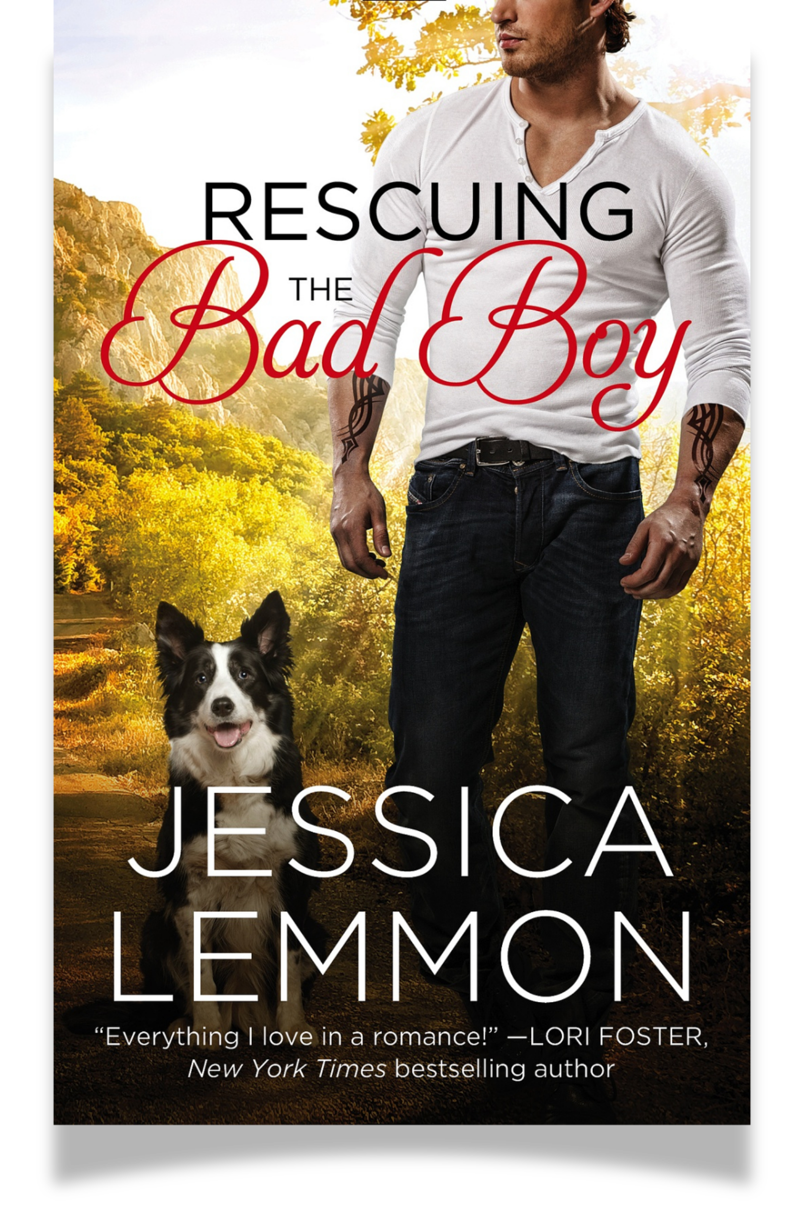 Rescuing the Bad Boy Cover - Curve Shadow.png