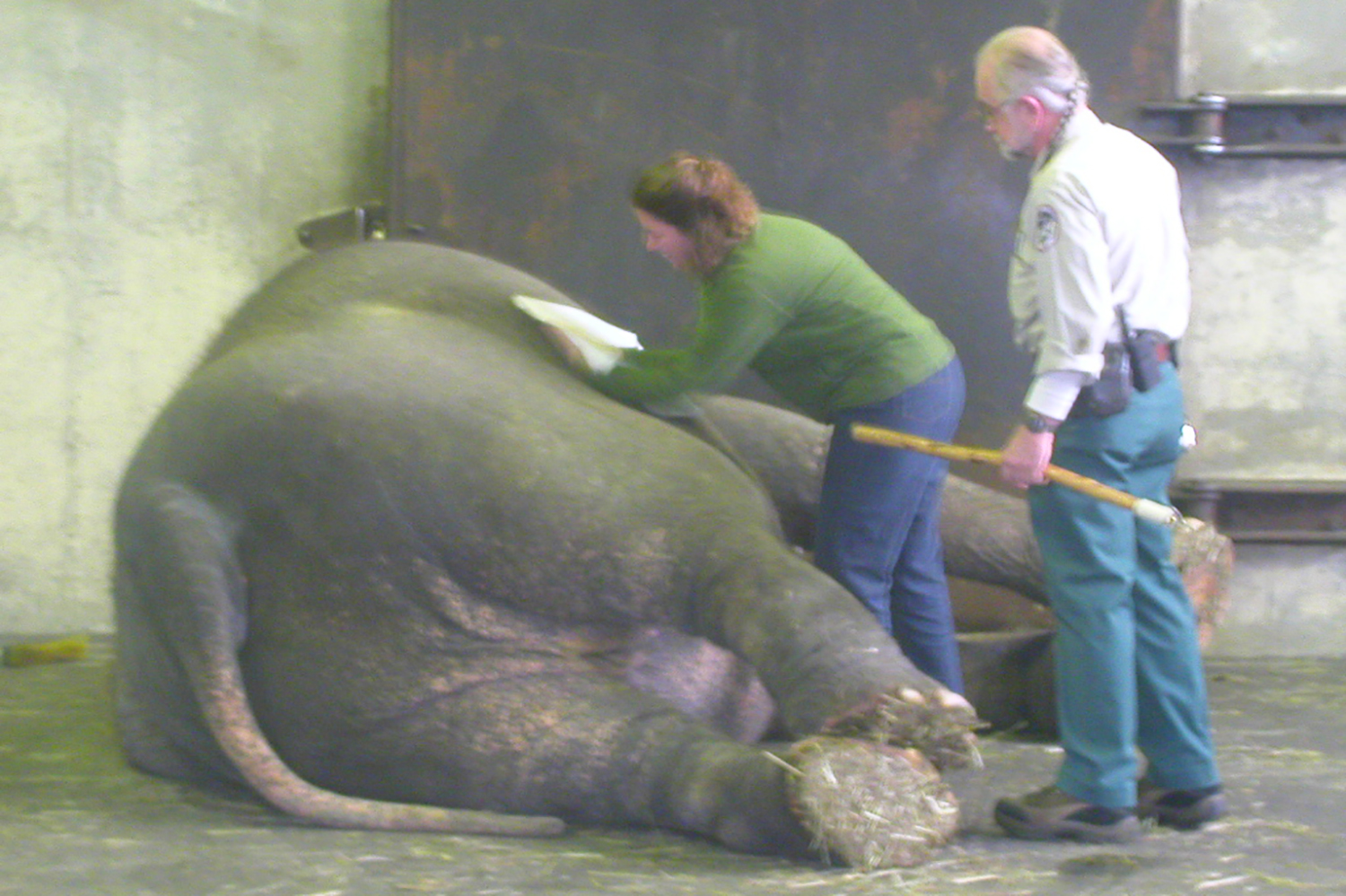 sarah_elephant.jpg