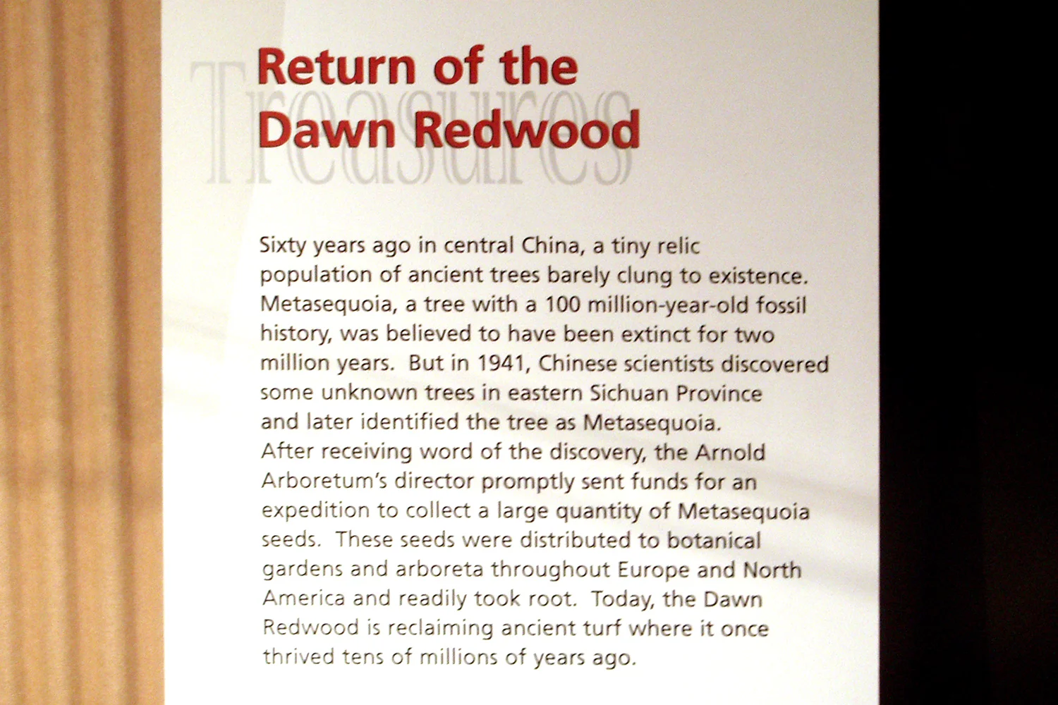 Saved from Extinction