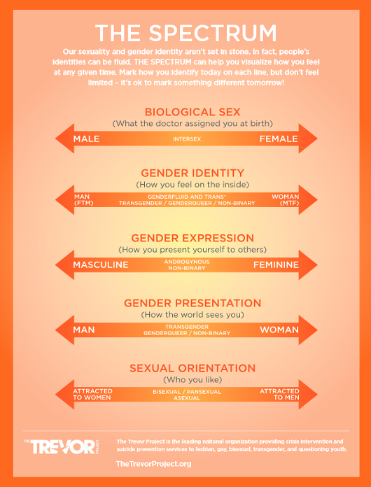 Spectrum graphic.png