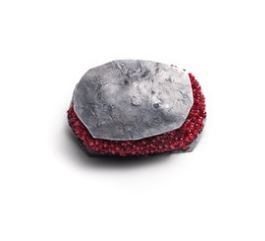 Seeing Red: Challenging Perspectives of Contemporary Jewellery