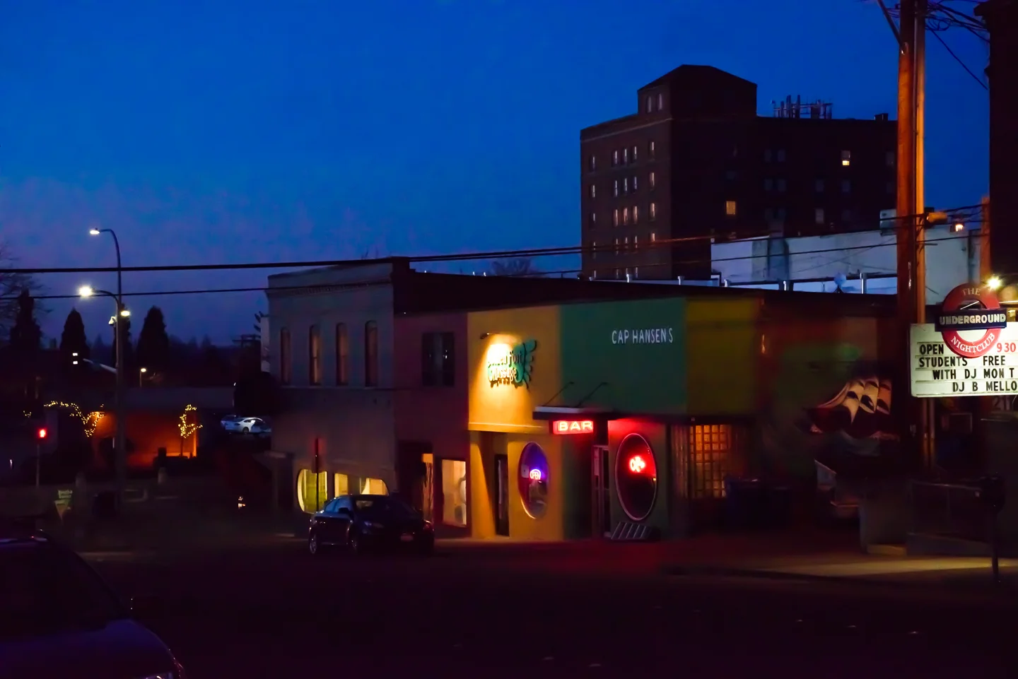 Hamlet at Night