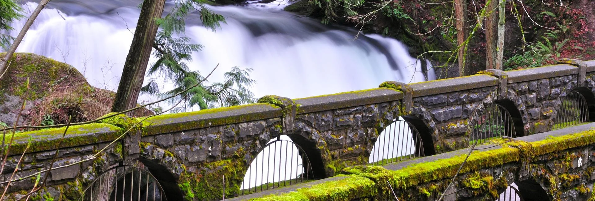Beautiful Whatcom Falls Park is located just minutes drive from Hamlet Hotel