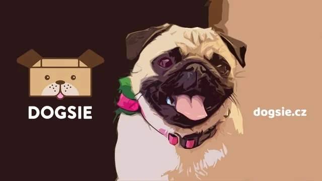 Dogsie, launch brand film