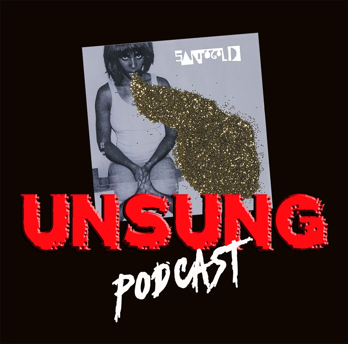 Episode 66 - Santogold by Santigold
