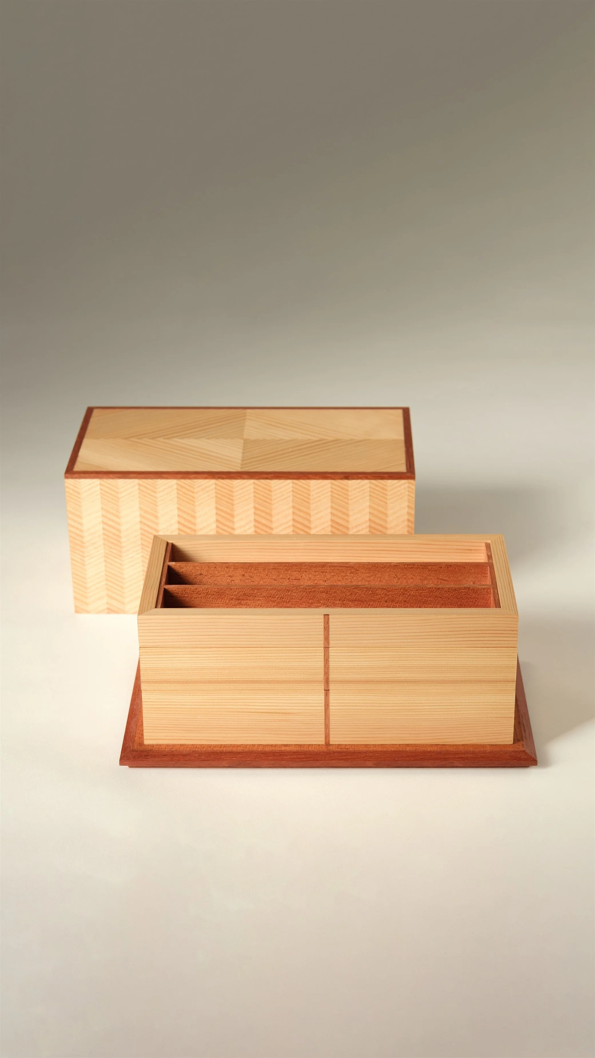 RESIGNIFICANDO EL PINO 2_DETAIL 1.jpg