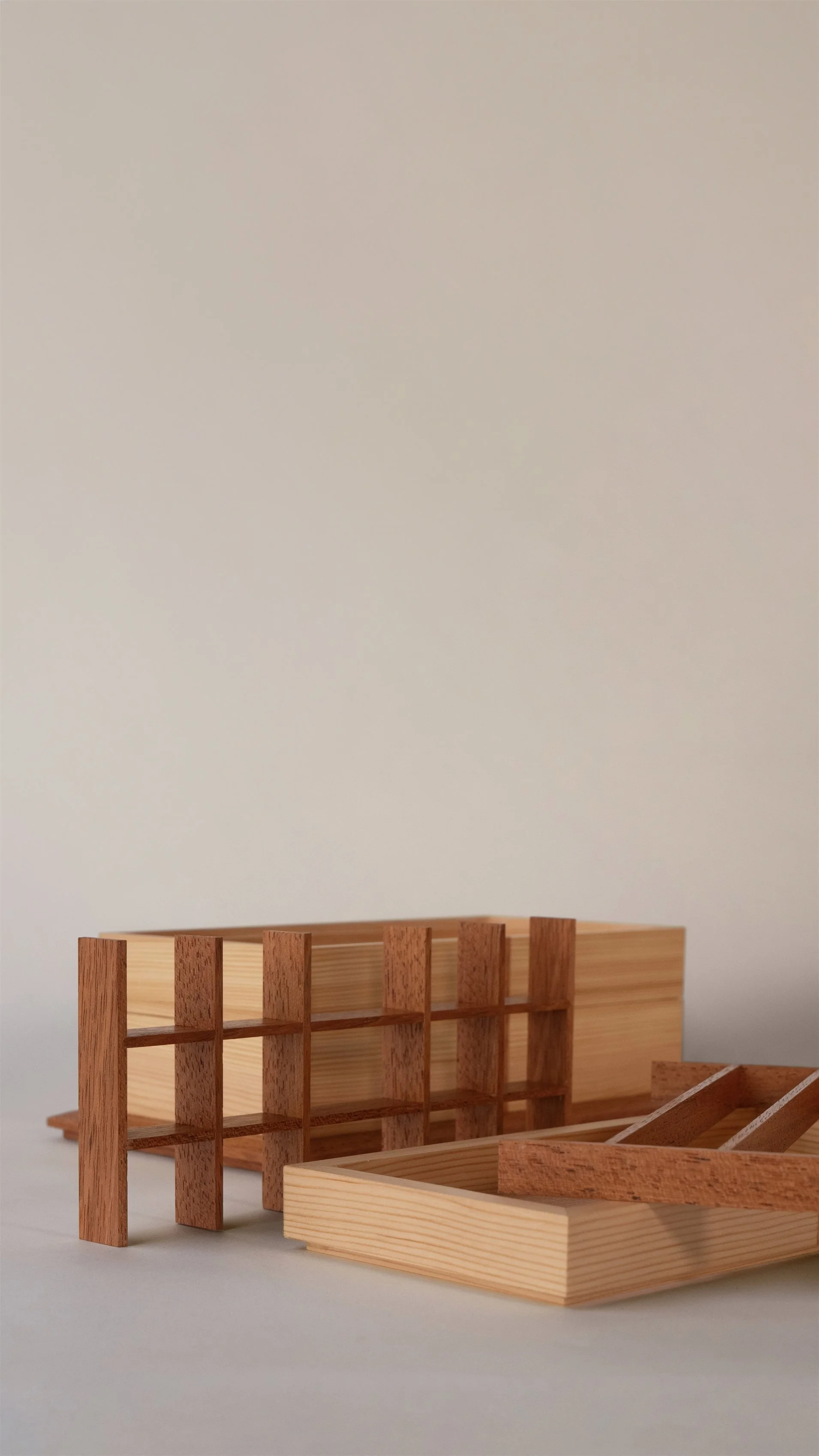 RESIGNIFICANDO EL PINO 2_DETAIL 4.jpg