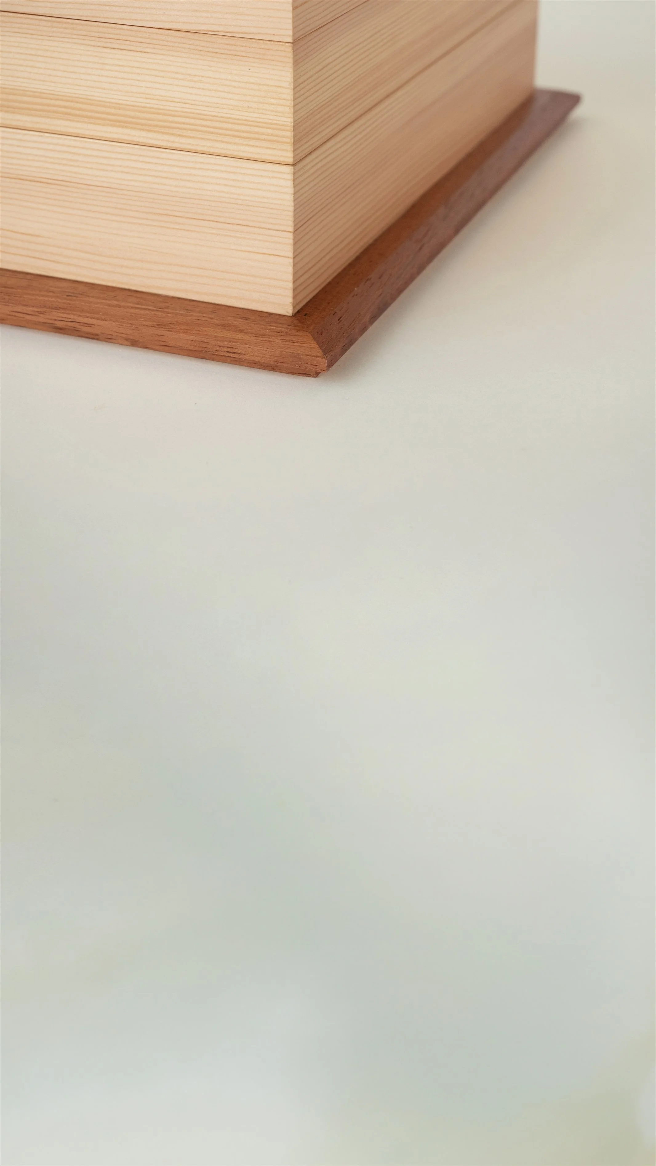 RESIGNIFICANDO EL PINO 2_DETAIL 5.jpg