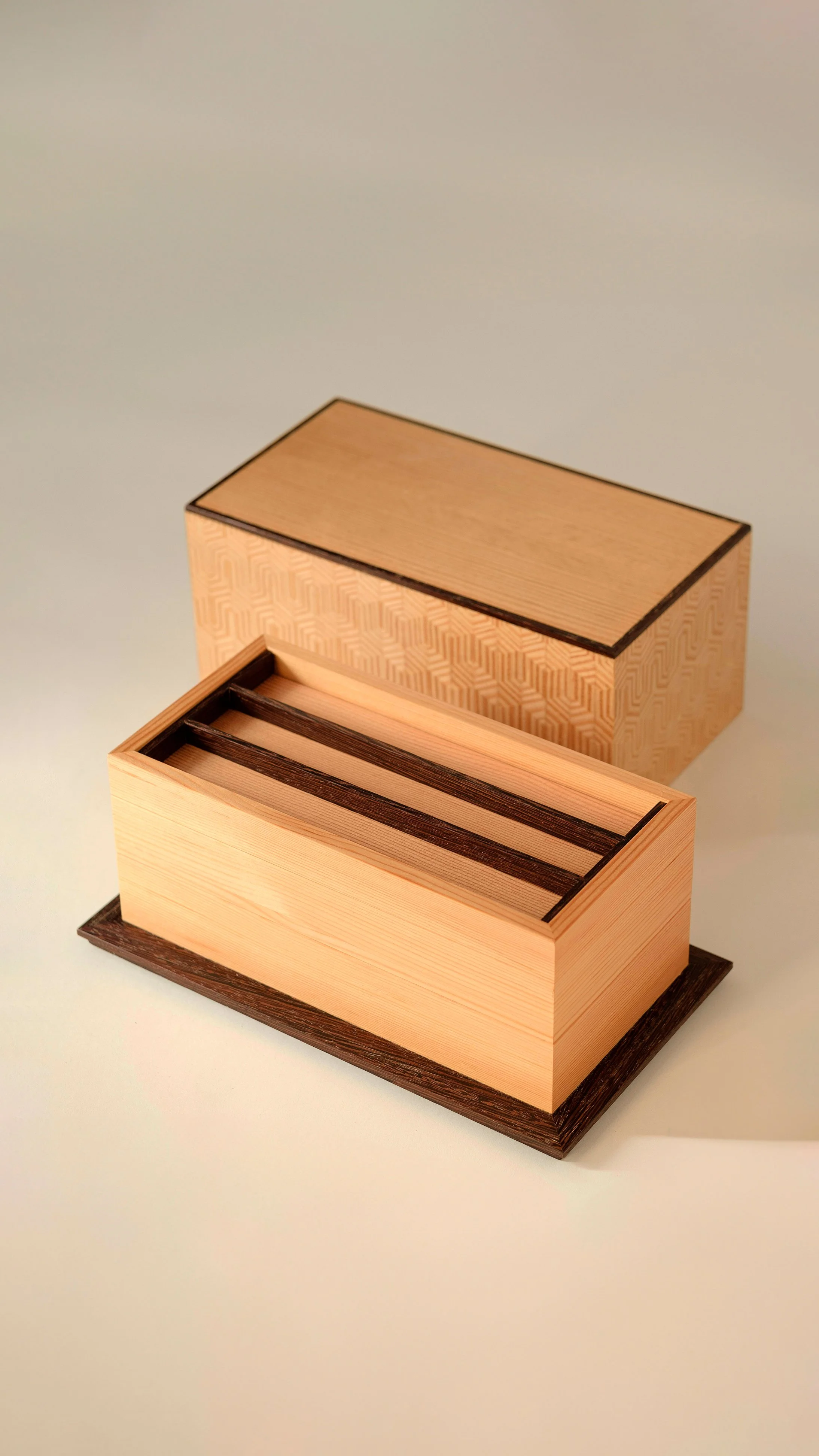 RESIGNIFICANDO EL PINO_DETAIL 1.jpg