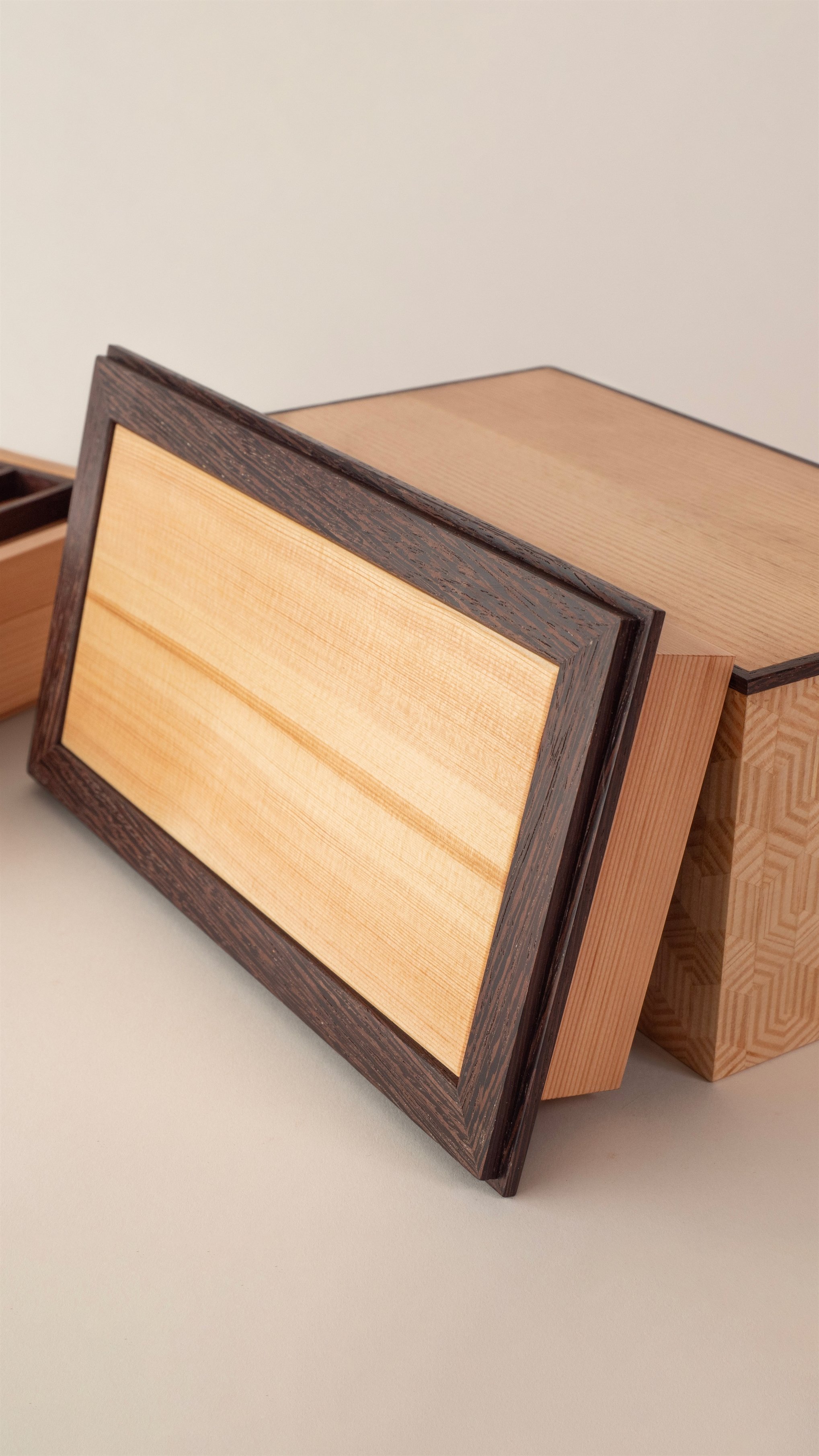 RESIGNIFICANDO EL PINO_DETAIL 2.jpg