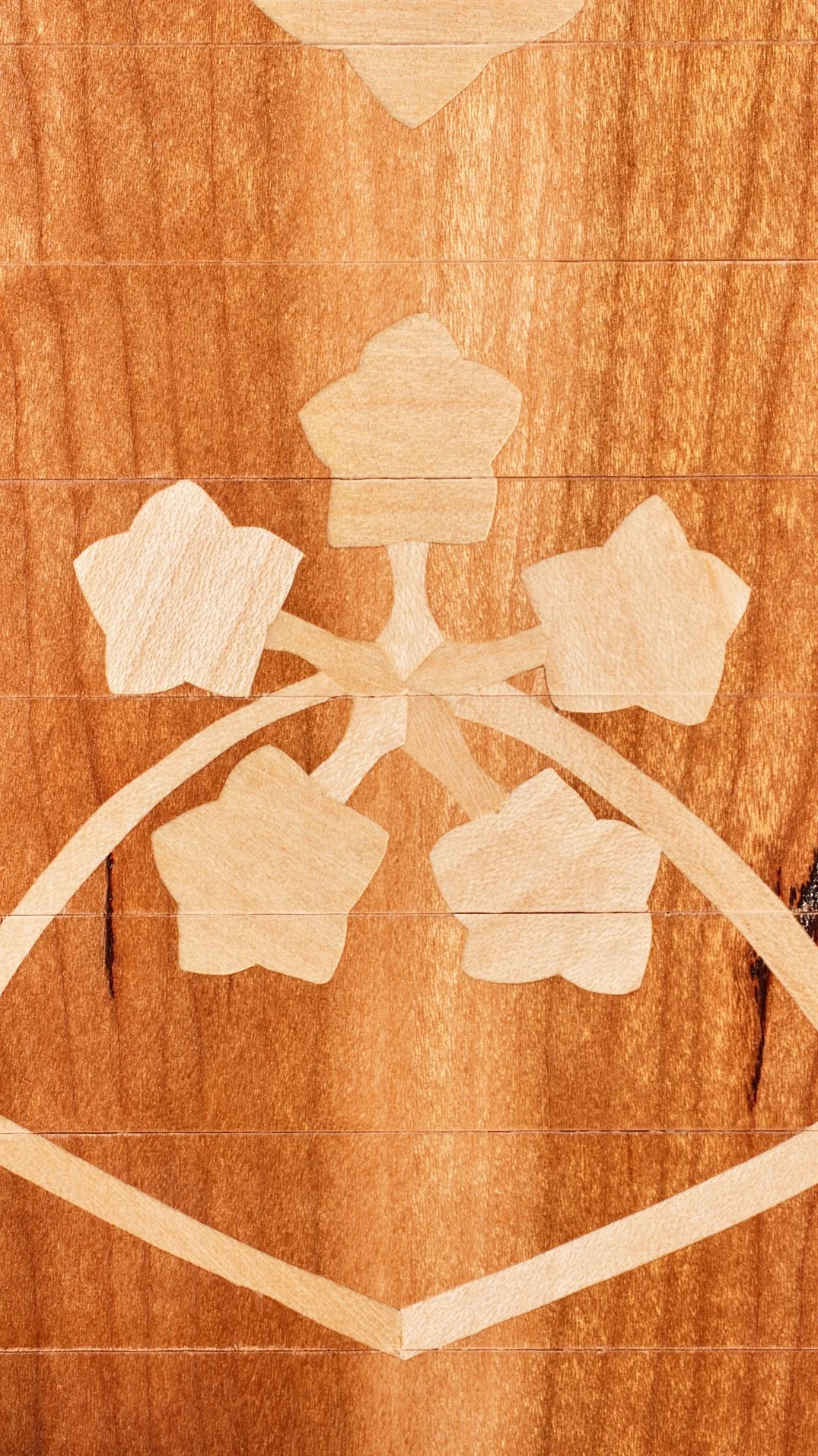 SAJOLIDA_DETAIL 1.jpg