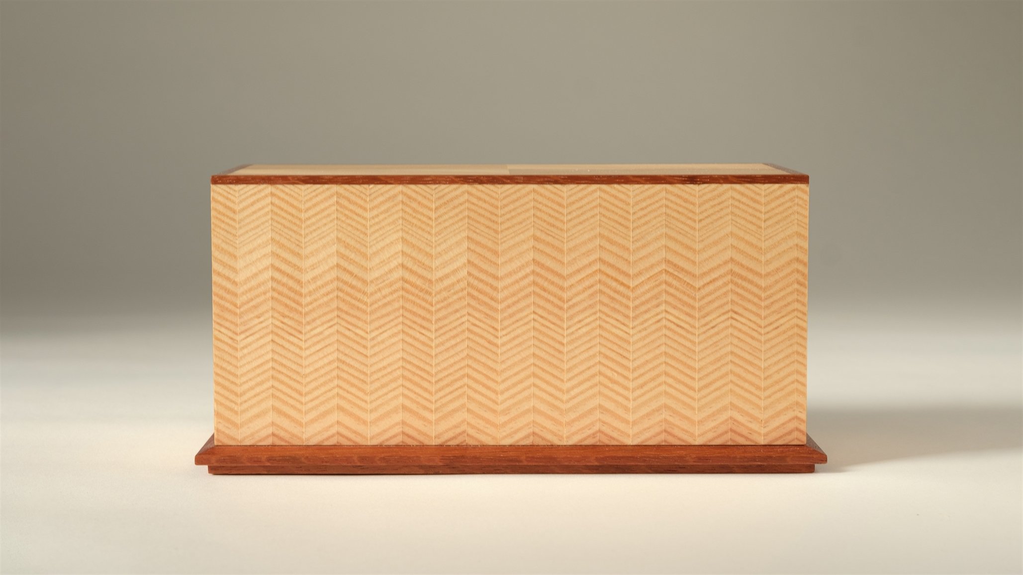 RESIGNIFICANDO EL PINO_MAIN.jpg