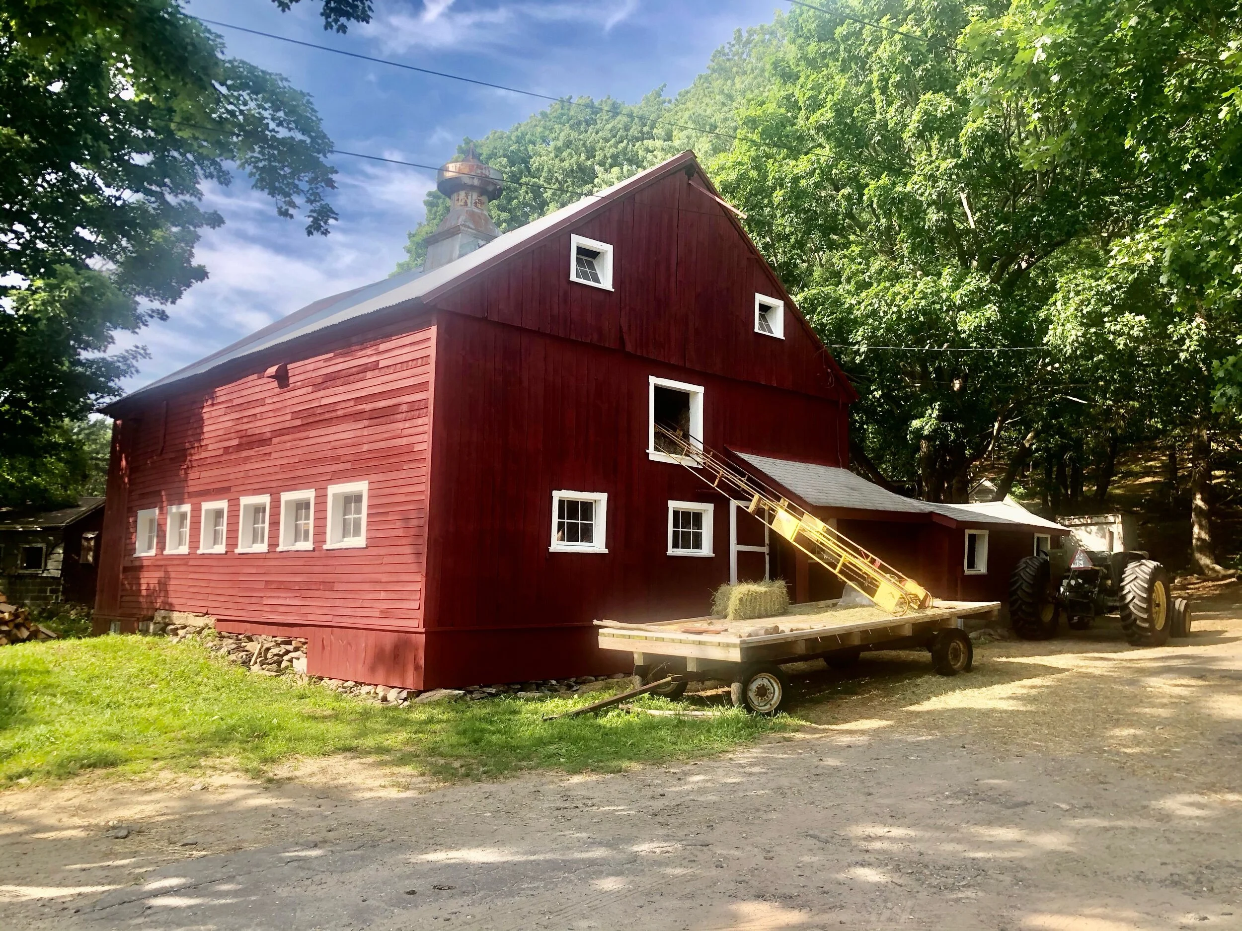 Snapshots & Stories from the Farm in Summer