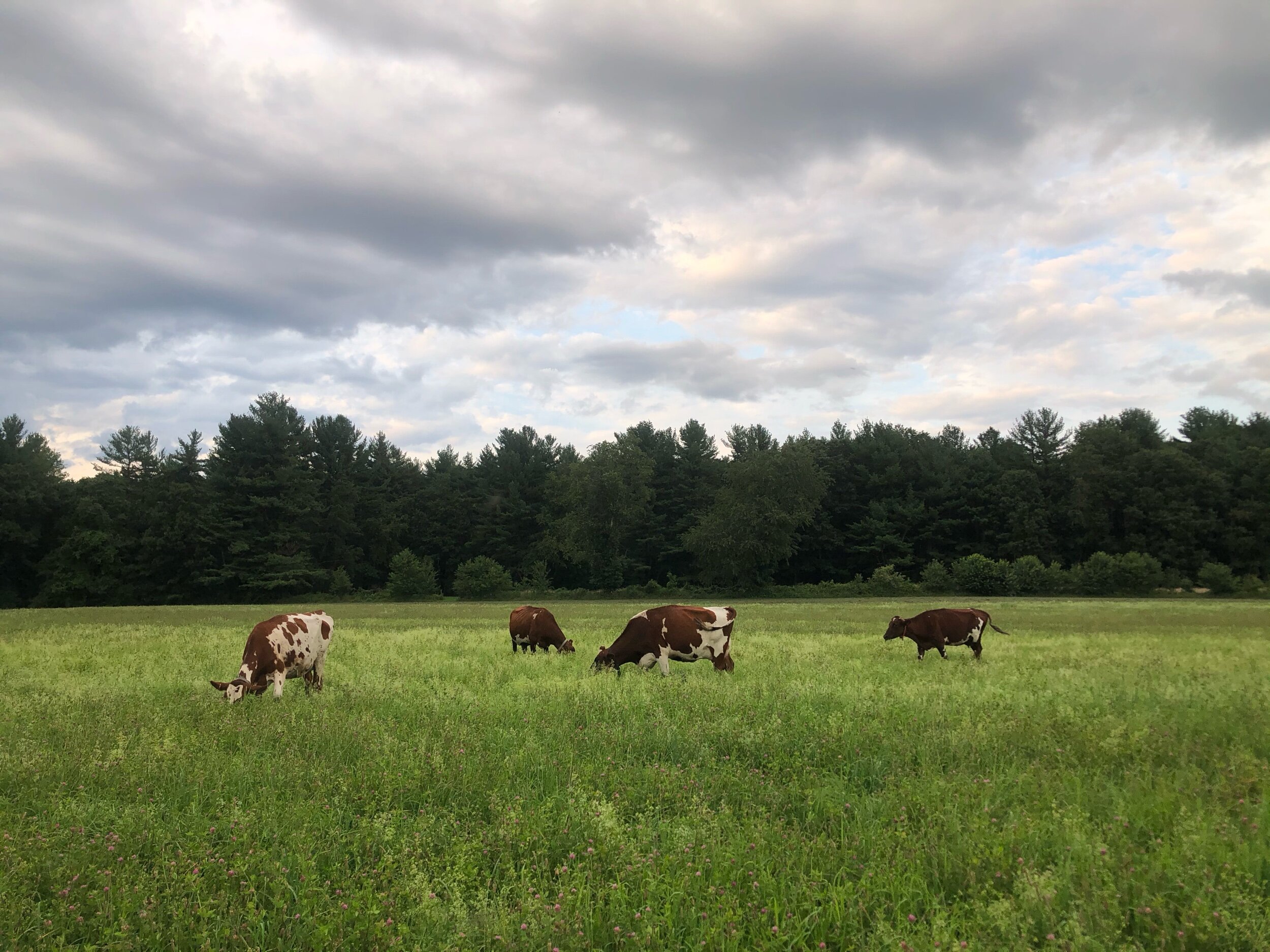 Meet Krimson & Eliza