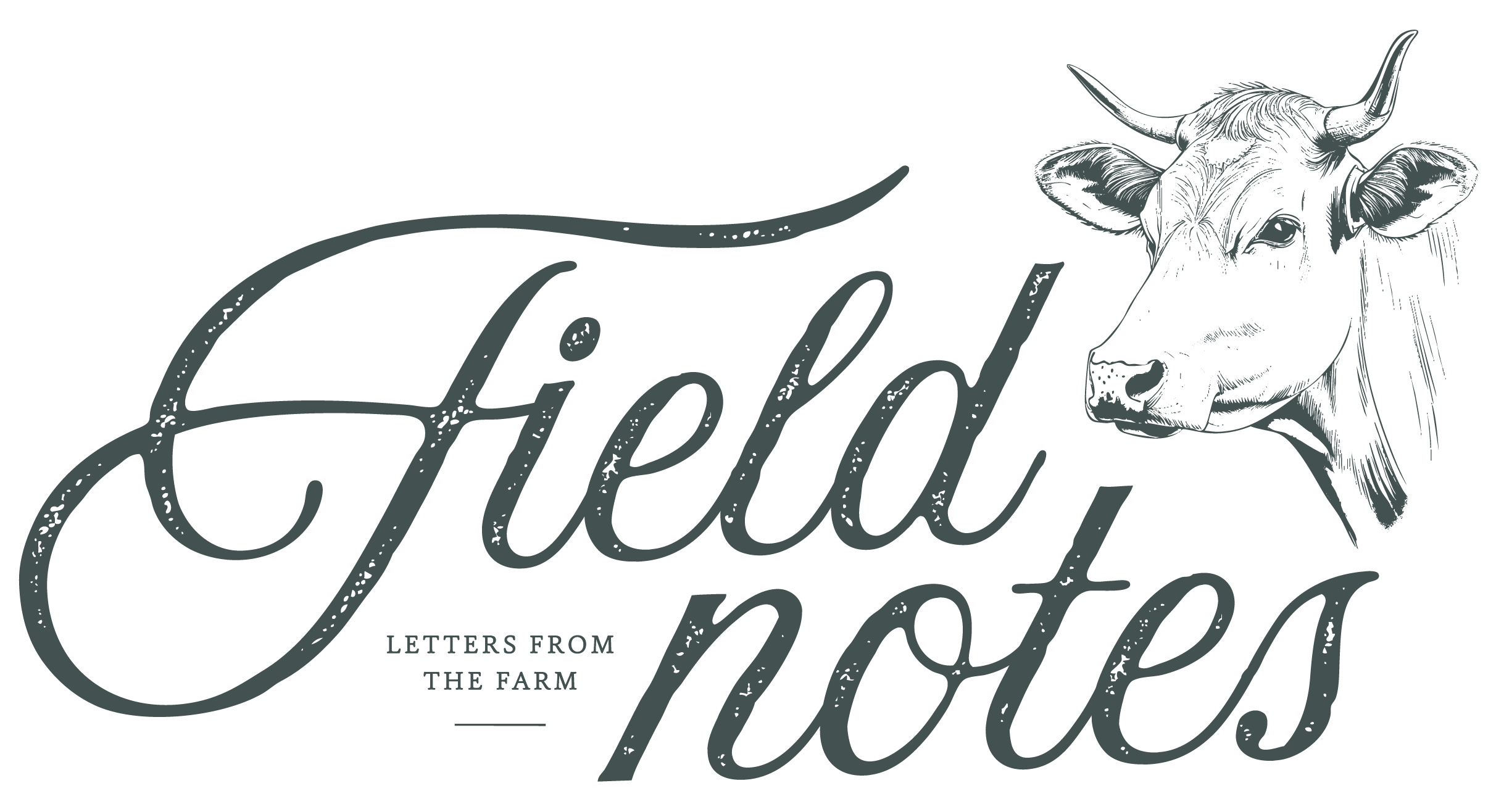 Web_Primary_Blue Spruce_Field.png (Copy)