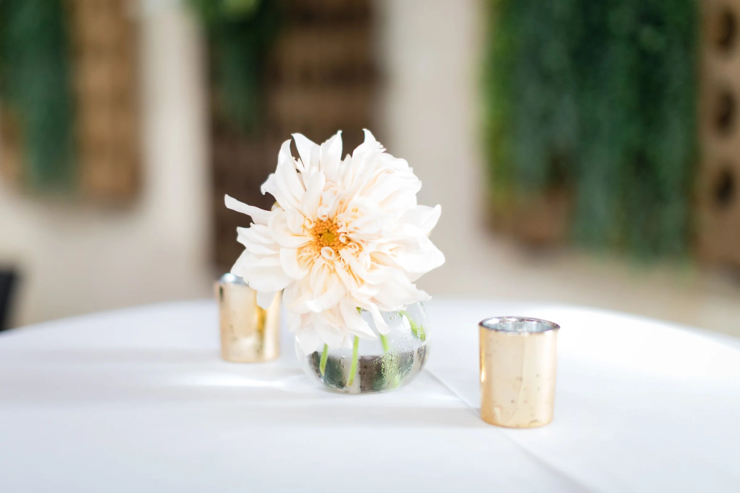brielle-davis-events-kairos-photography-chandler-hill-wedding-reception-405.jpg