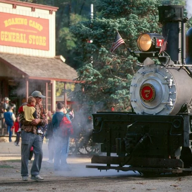 roaring camp.jpg