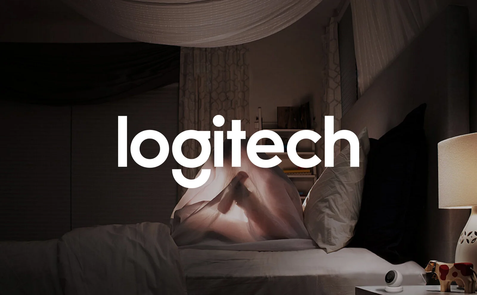 03-Logitech.jpg