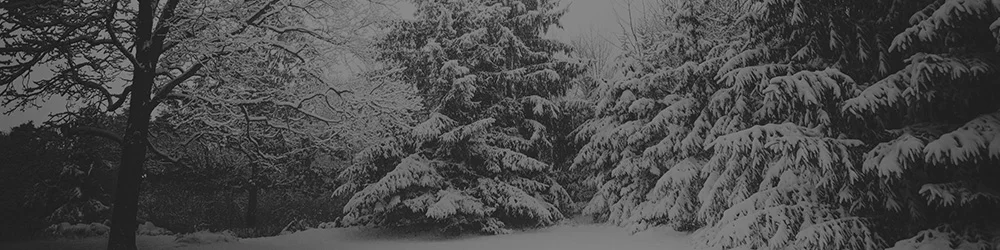 GB-Snow-Header-Image.jpg