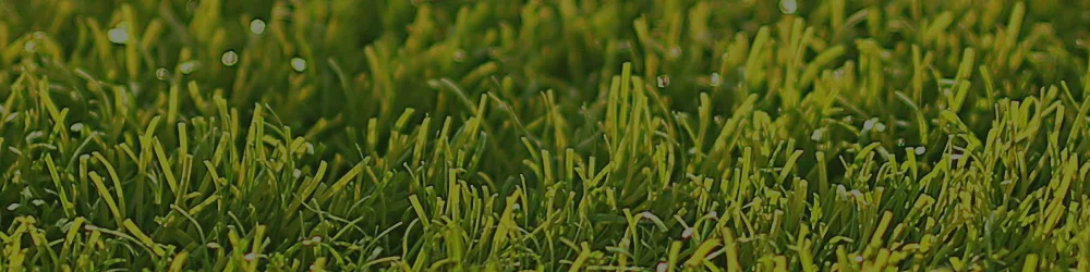 GB-Header-Image.jpg