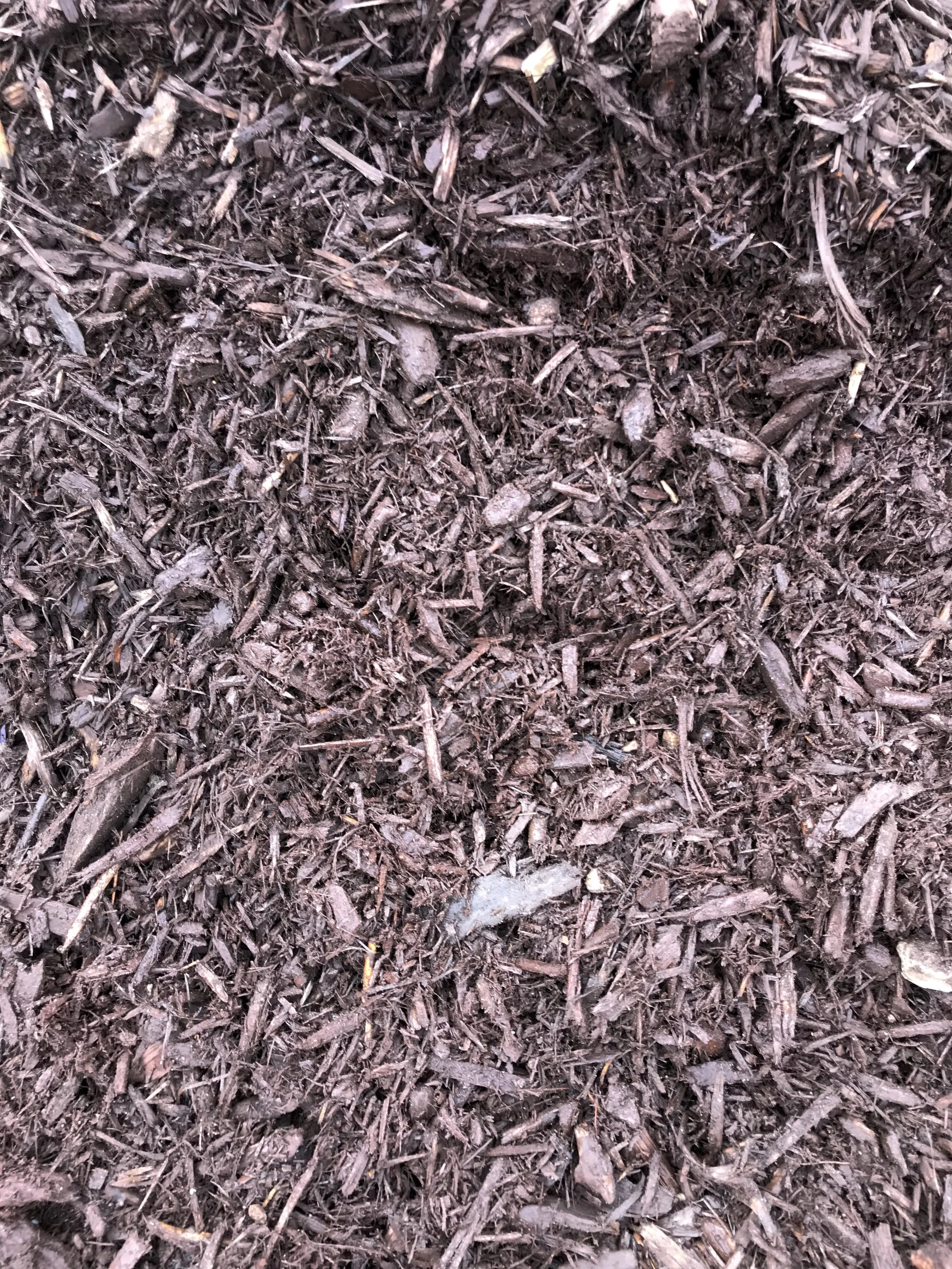 Forest Brown Mulch