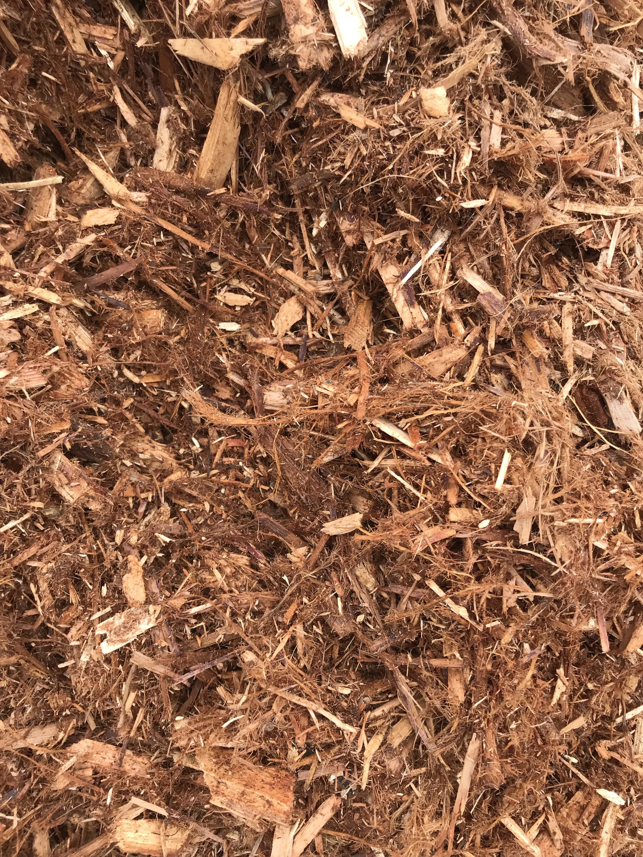 Natural Western Red Cedar