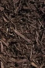 Walnut Colored Mulch