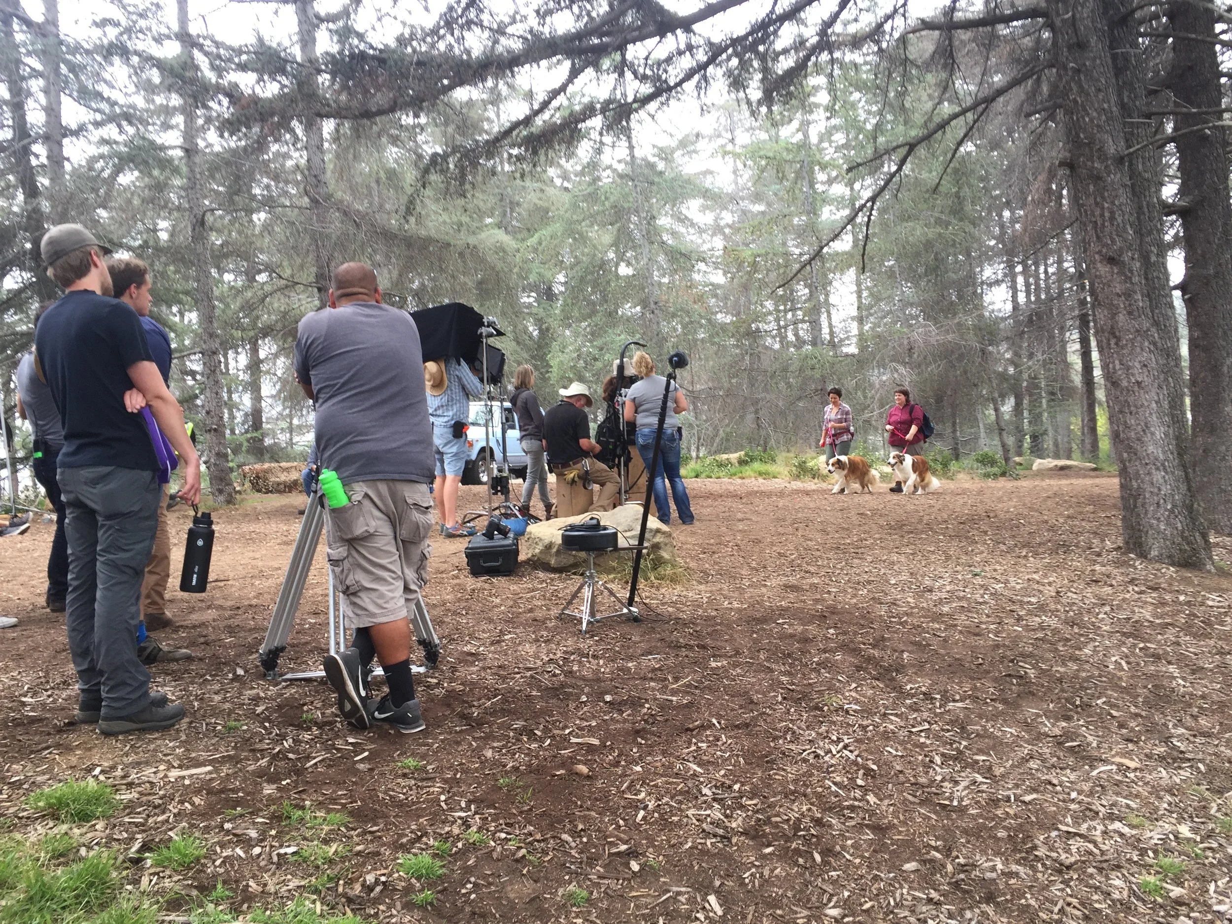 Griffith Park in Los Angeles, CA.