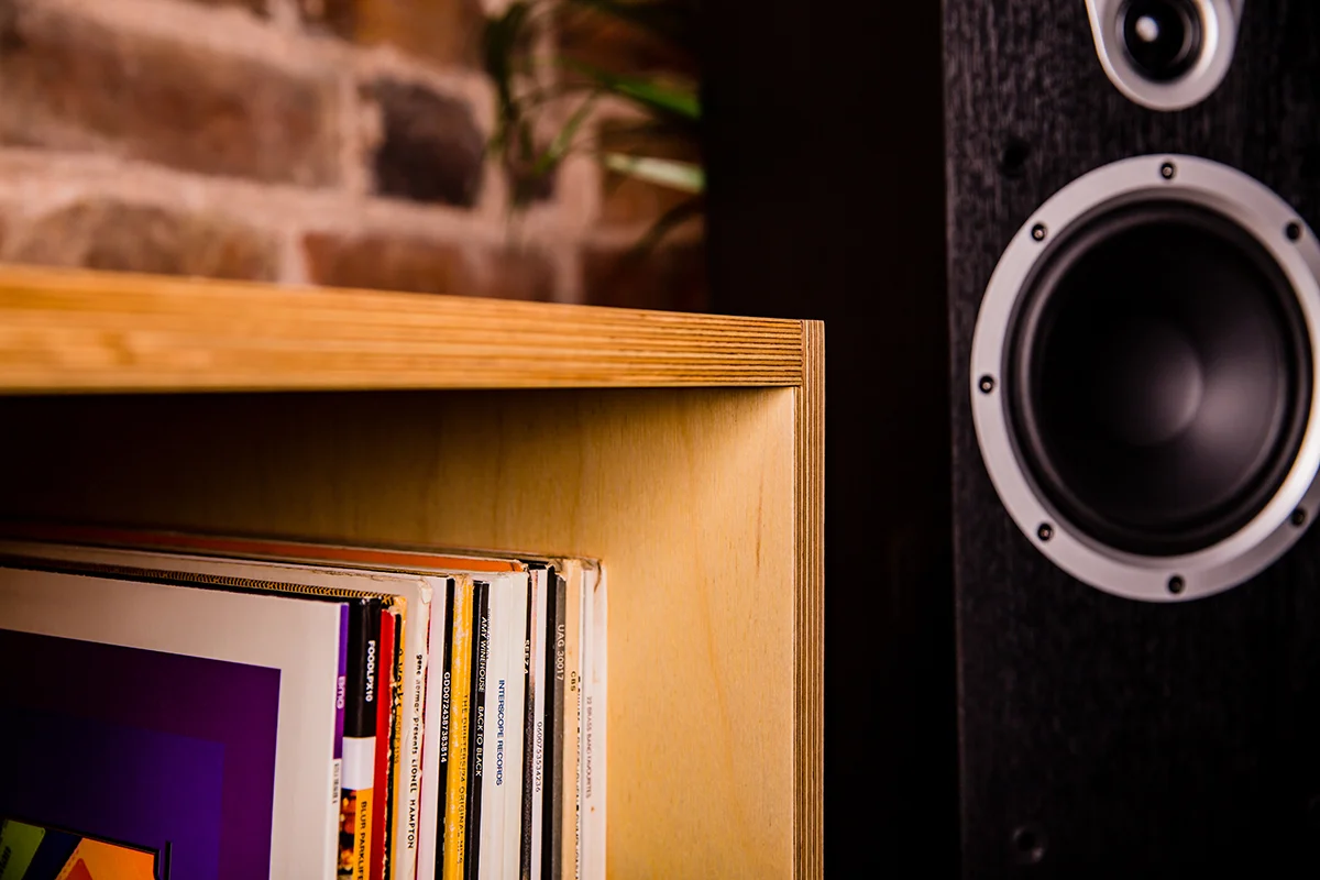 The-Vinyl-Store-Storage.jpg