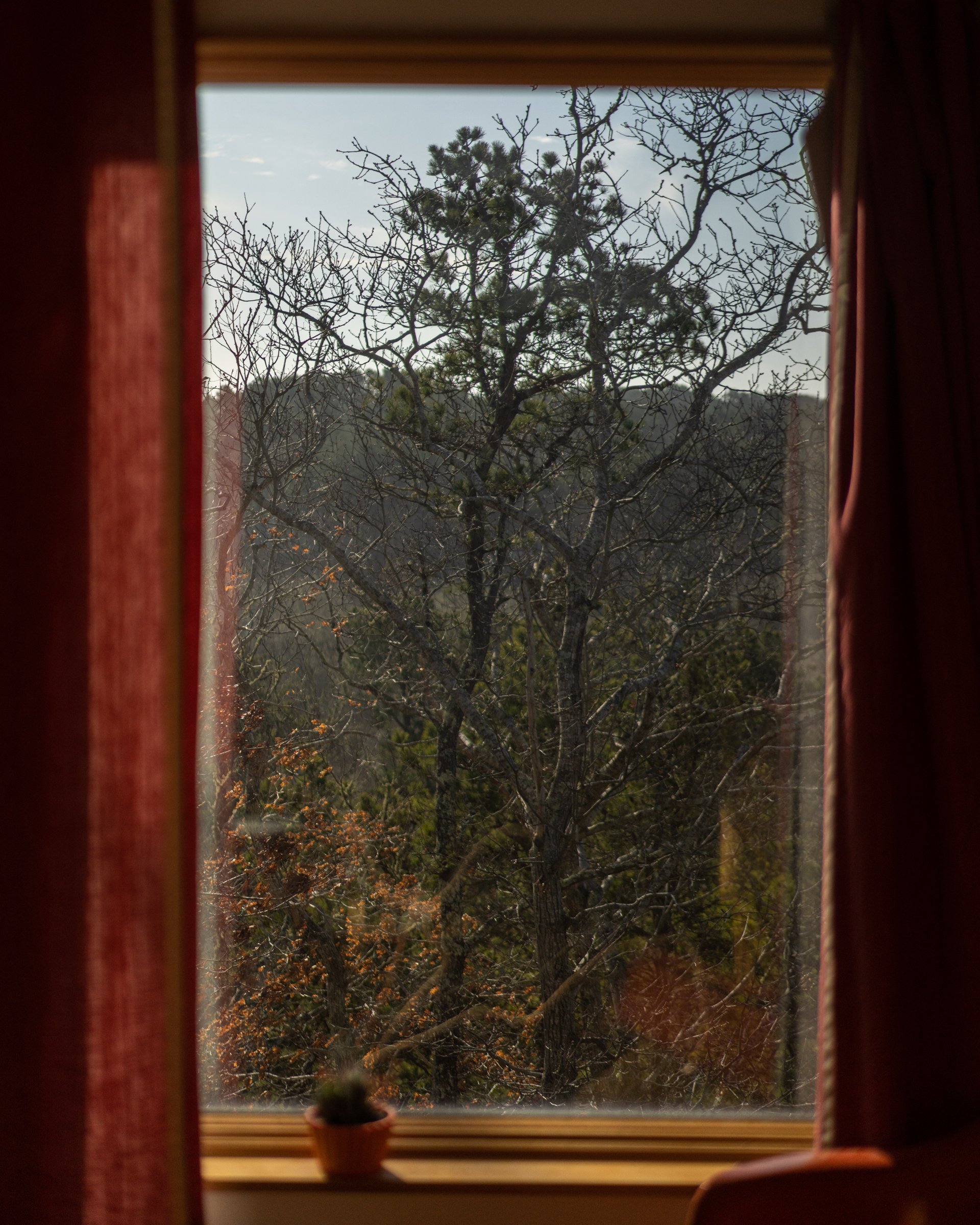DSC02341.jpg