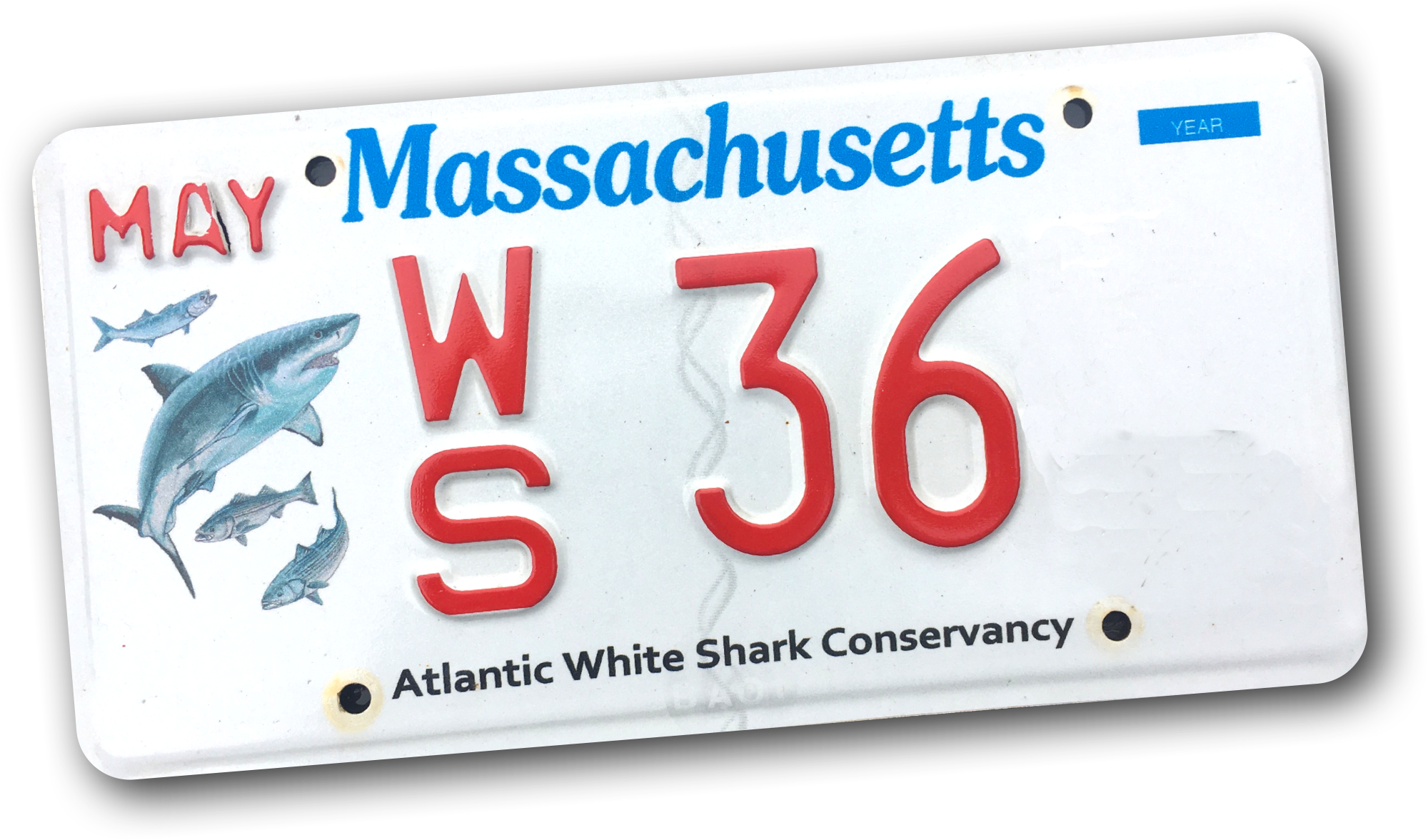 2 Digit Plate.png
