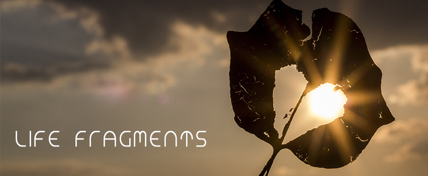 Life Fragments Banner.jpg