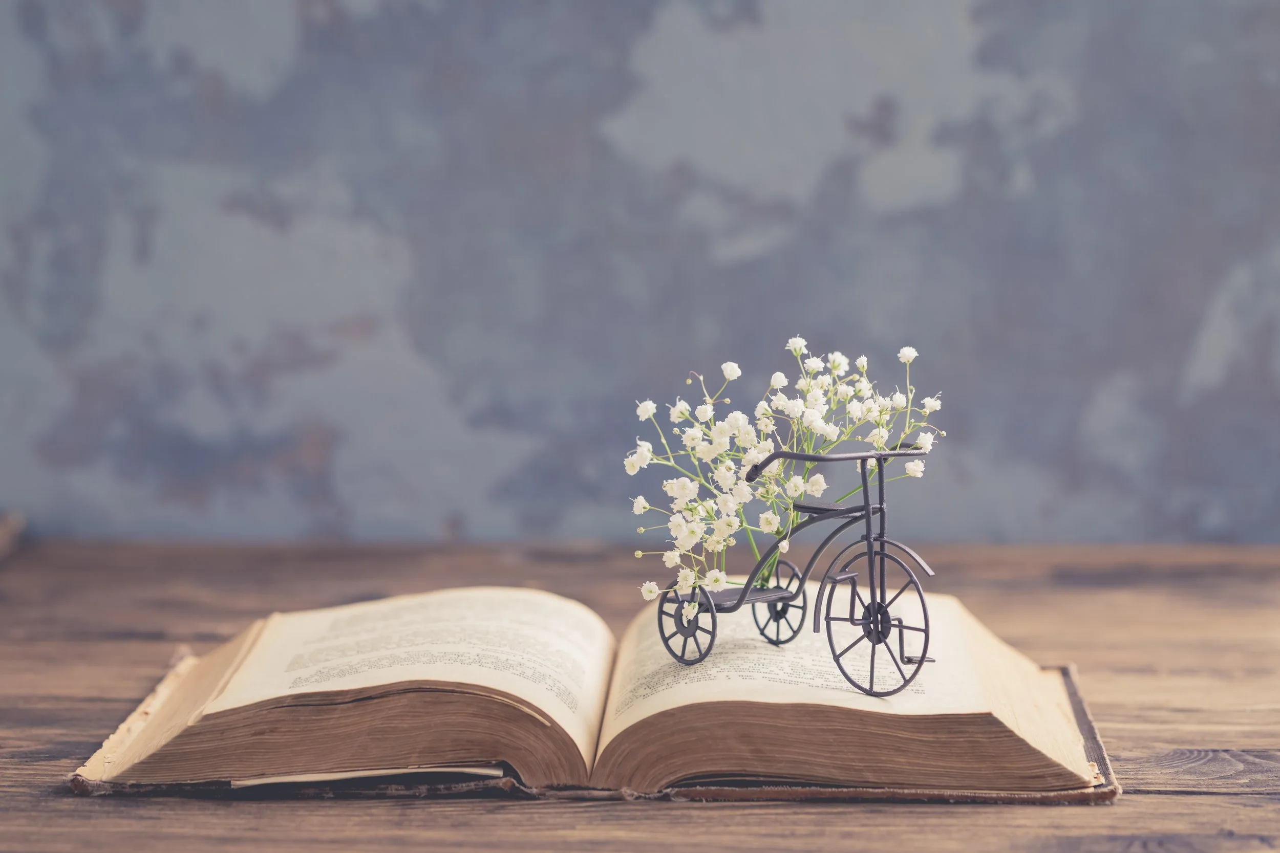 The Knife of Her Gaze or (The Art of Revising)