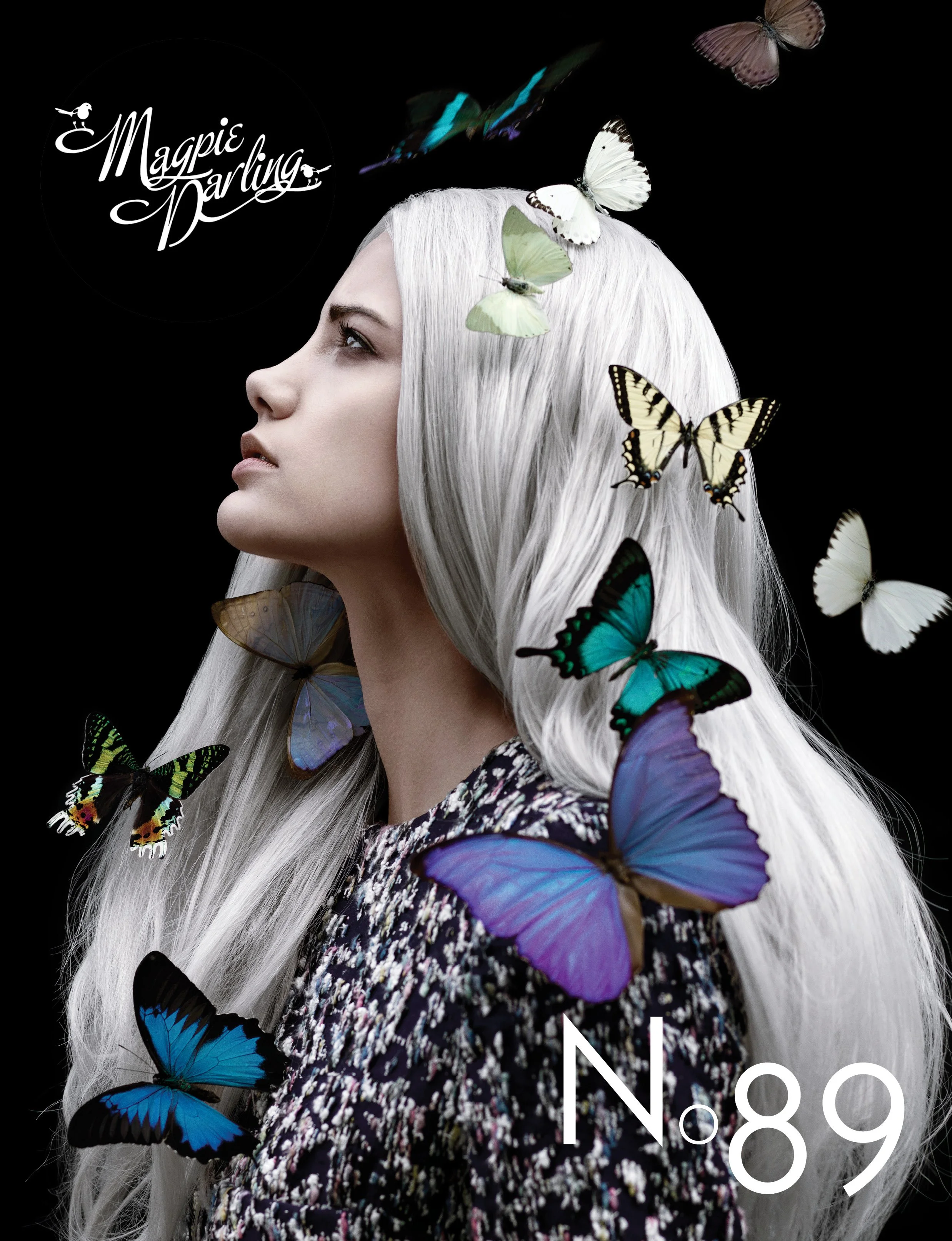 magpiedarlingCover 89.jpg