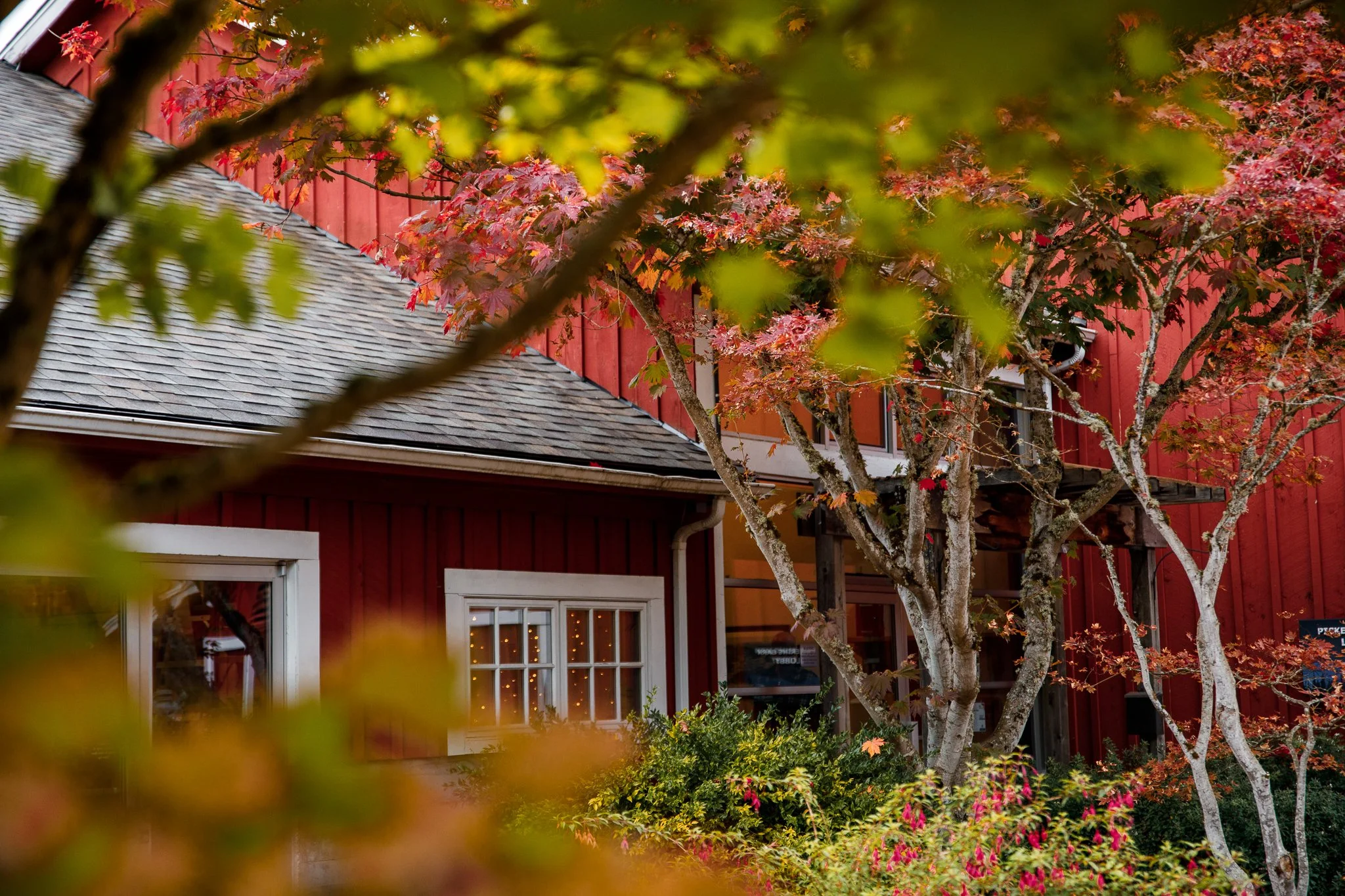 Sam&Mitchell2 (9 of 19).jpg